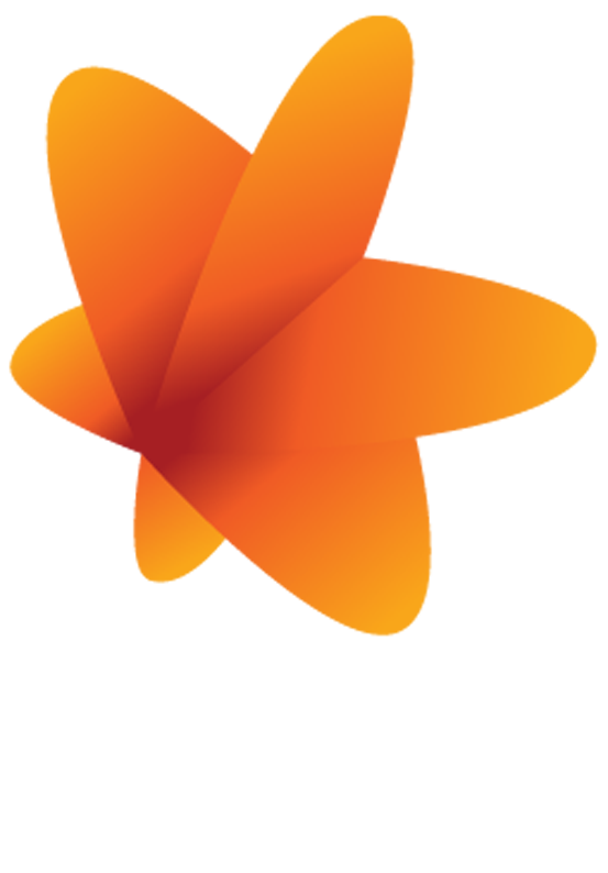 Radio Novi Sad 2 — logo